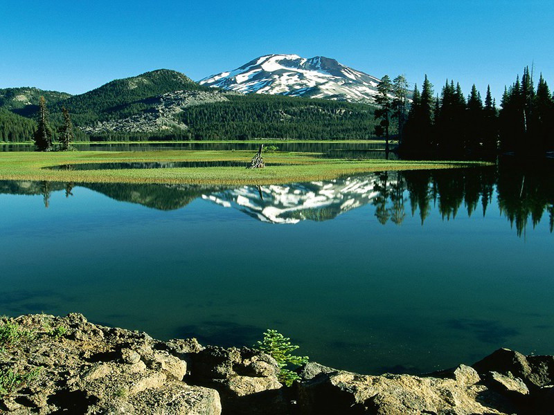 冰霜正惨凄,终岁常端正出处翻译赏析