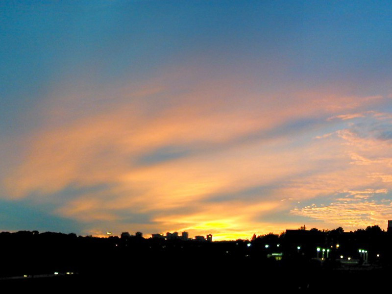 《客至》译文赏析-杜甫古诗