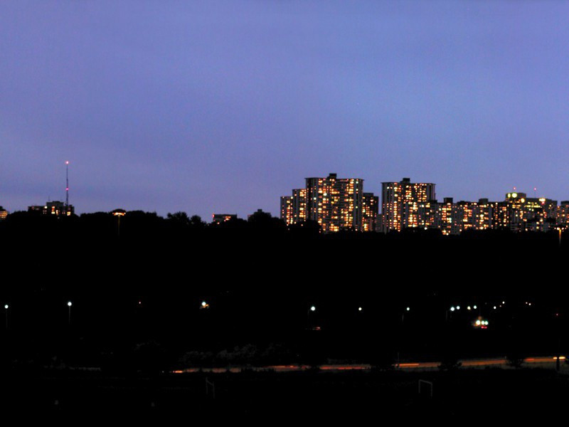 八月蝴蝶来,双飞西园草出处意思赏析