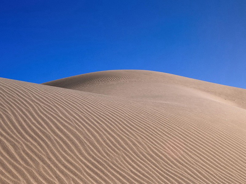 儿童散学归来早,忙趁东风放纸鸢出处意思赏析