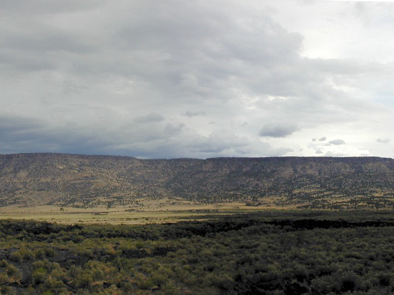 稻云不雨不多黄,荞麦空花早着霜出处意思赏析