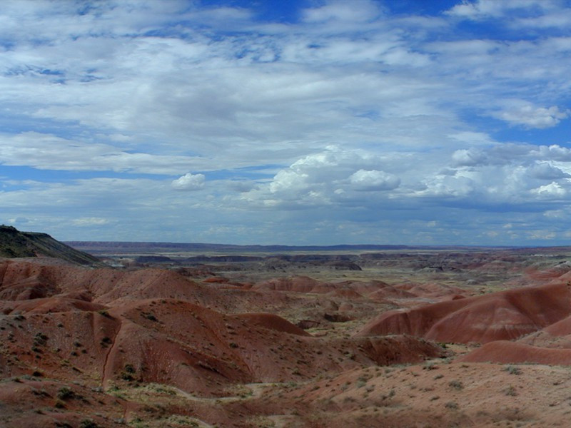 《金缕曲》生怕芳樽满)原文翻译赏析-纳兰性德诗词