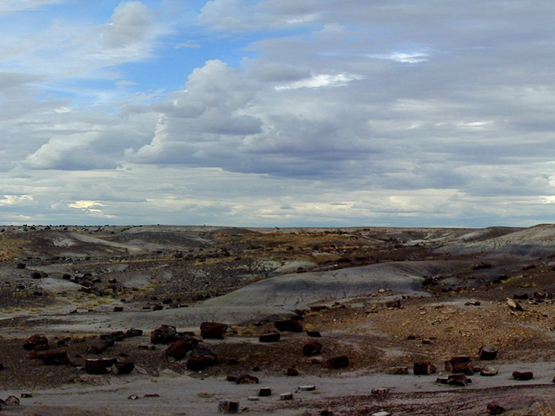 酒能祛百虑,菊解制颓龄出处翻译赏析