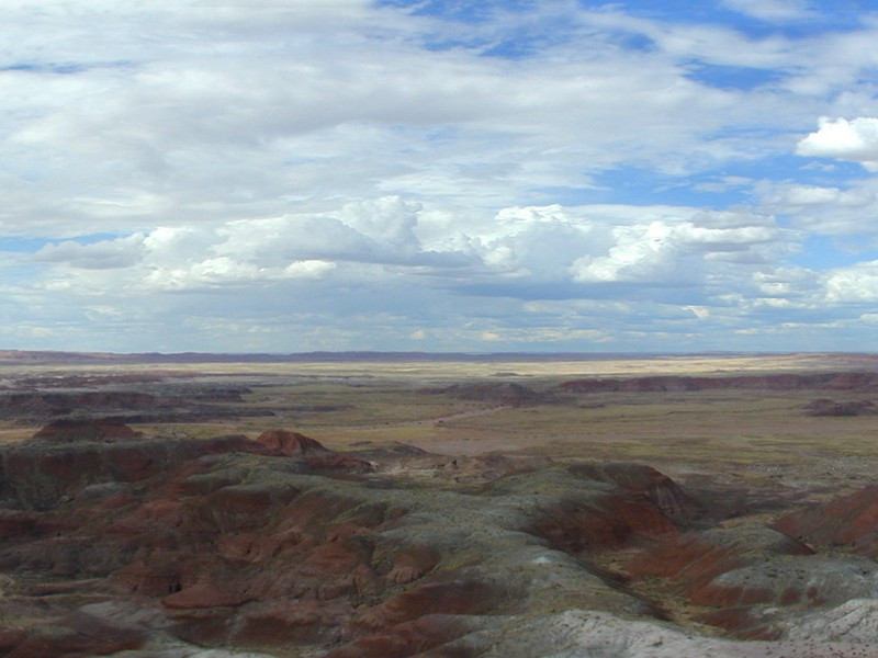 泰山不要欺毫末,颜子无心羡老彭出处翻译赏析
