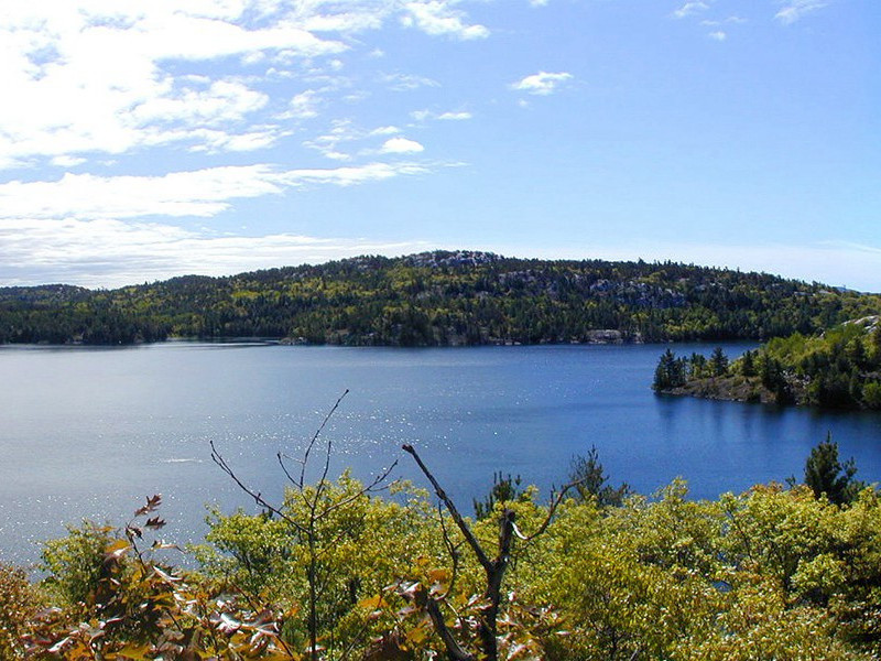 腰下宝玦青珊瑚,可怜王孙泣路隅的出处意思赏析