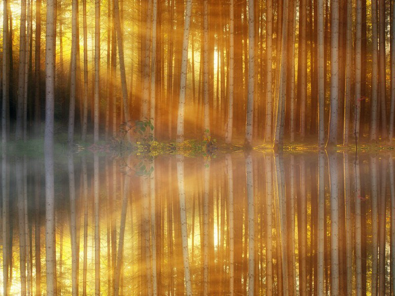 无为在歧路,儿女共沾巾的出处意思赏析