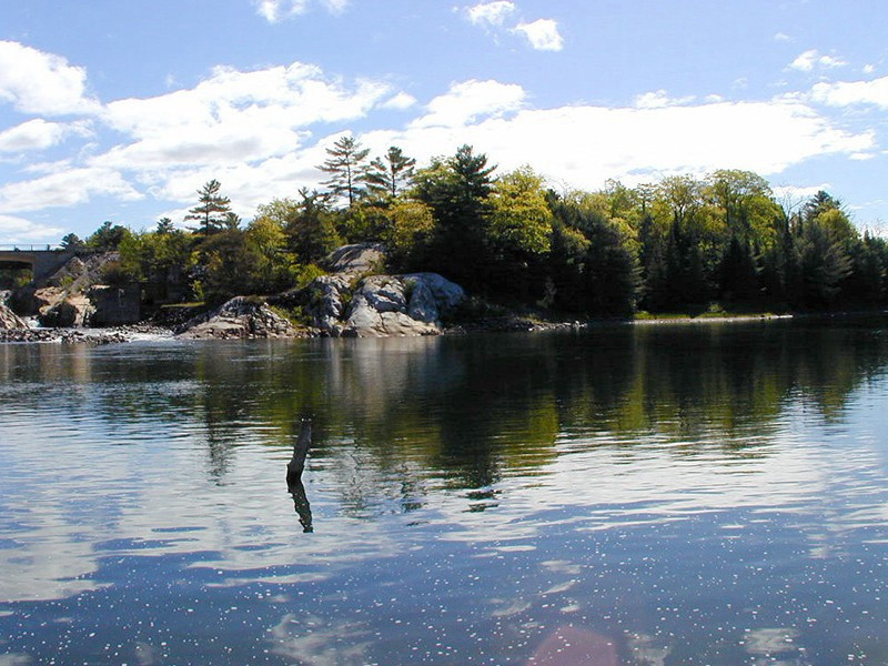 去年元夜时,花市灯如昼出处意思赏析