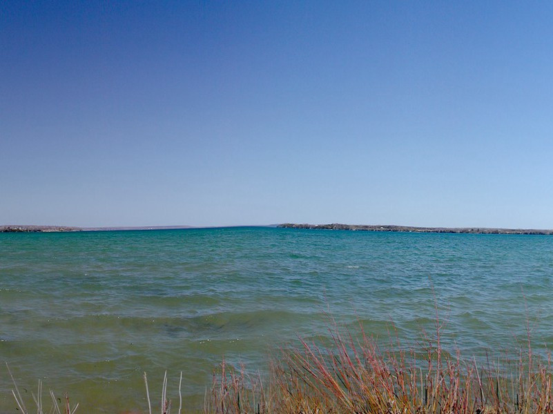 从此静窗闻细韵,琴声长伴读书人出处意思赏析