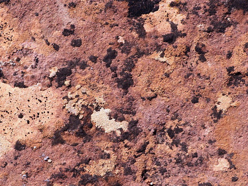 冉冉征途间,谁是长年者出处意思赏析