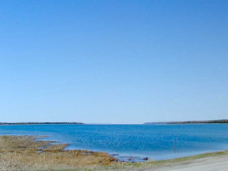 台倾鳷鹊观,宫没凤凰楼出处意思赏析