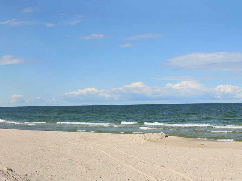 文采承殊渥,流传必绝伦出处意思赏析