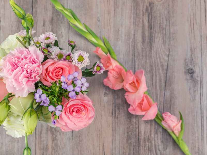 春风疑不到天涯,二月山城未见花出处意思赏析