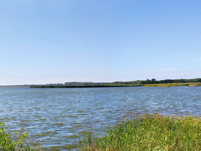 怅望千秋一洒泪,萧条异代不同时的出处意思赏析