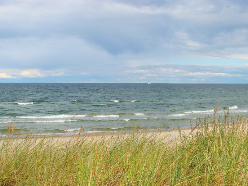 为人性僻耽佳句,语不惊人死不休出处翻译赏析