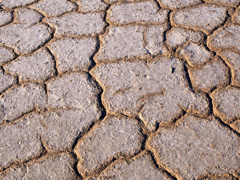 鶗鴂声中寒食雨,芙蓉花外夕阳楼出处意思赏析