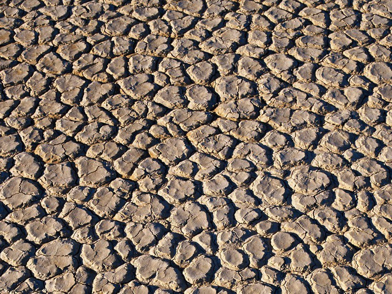 娶妻无媒毋须恨,书中有女颜如玉出处翻译赏析