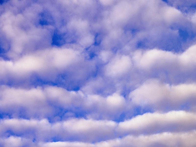 一去紫台连朔漠,独留青冢向黄昏的出处意思赏析