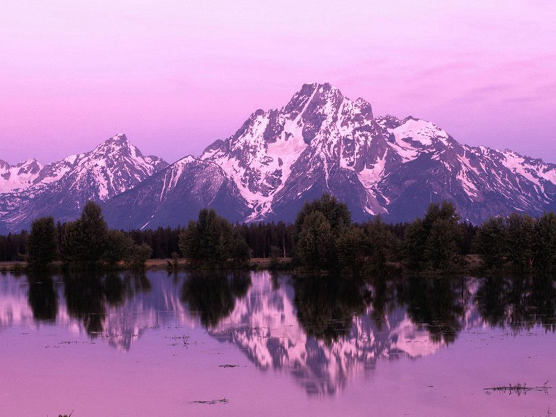 渊明归去来,不与世相逐出处意思赏析