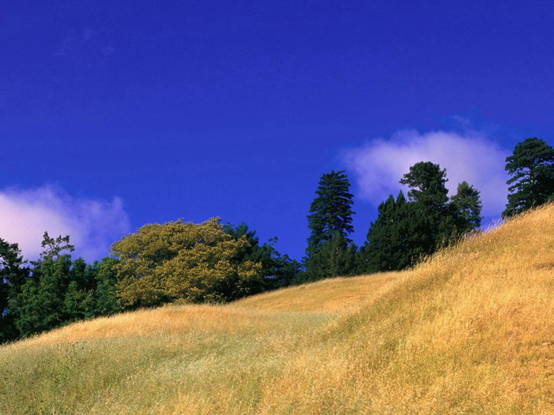 日气含残雨,云阴送晚雷出处意思赏析