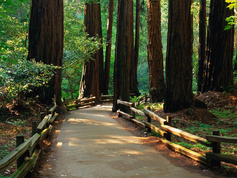 望庐山瀑布-原文句解题解赏析-李白古诗