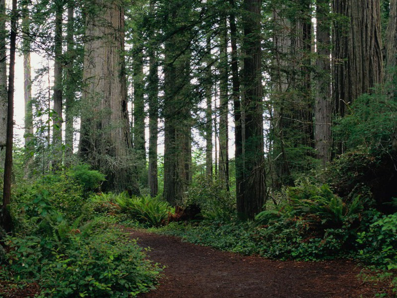 凉州词-赏析王之涣作品)