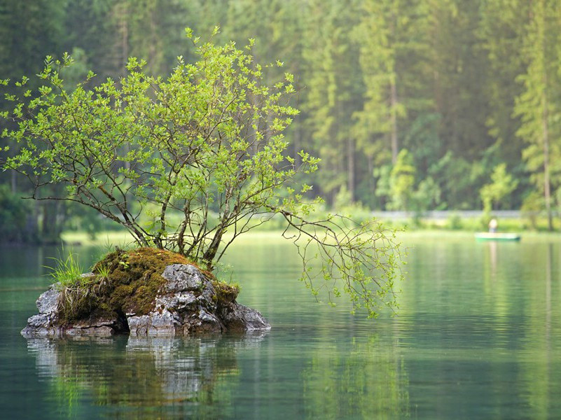 今夜鄜州月,闺中只独看的出处意思赏析
