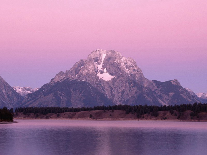 颠狂柳絮随风去,轻薄桃花逐水流出处意思赏析