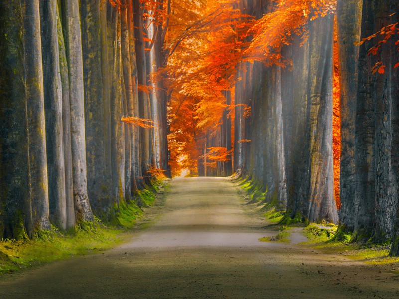 有耳莫洗颍川水,有口莫食首阳蕨出处意思赏析