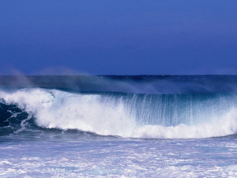 《蝶恋花》尽日惊风吹木叶)原文翻译赏析-纳兰性德诗词