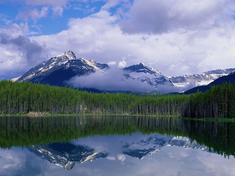 故人入我梦,明我长相忆出处翻译赏析