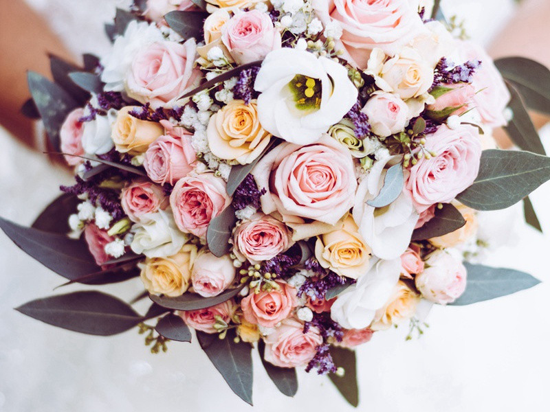 哀江头-原文句解题解赏析-杜甫古诗