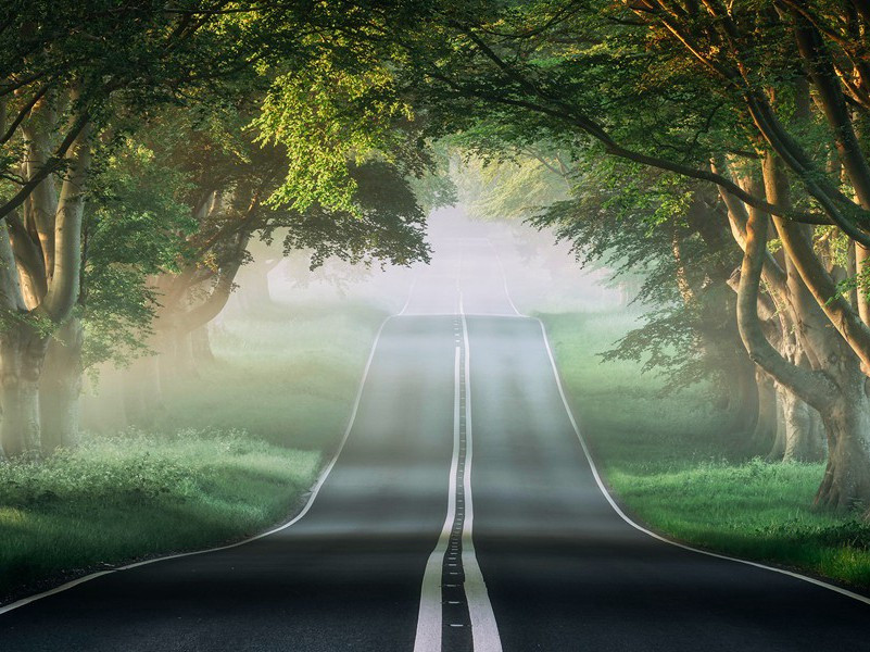 一去紫台连朔漠,独留青冢向黄昏的出处意思赏析