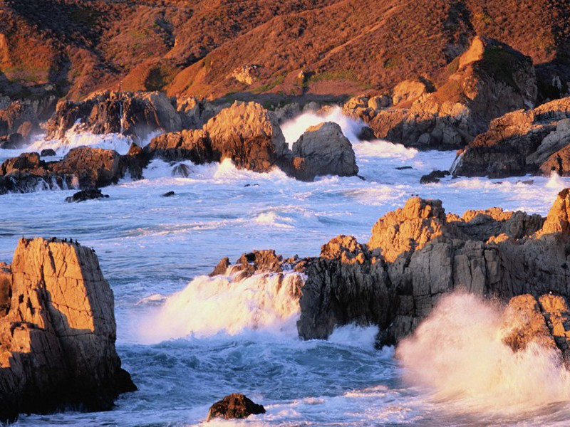 石壕吏-原文句解题解赏析-杜甫古诗