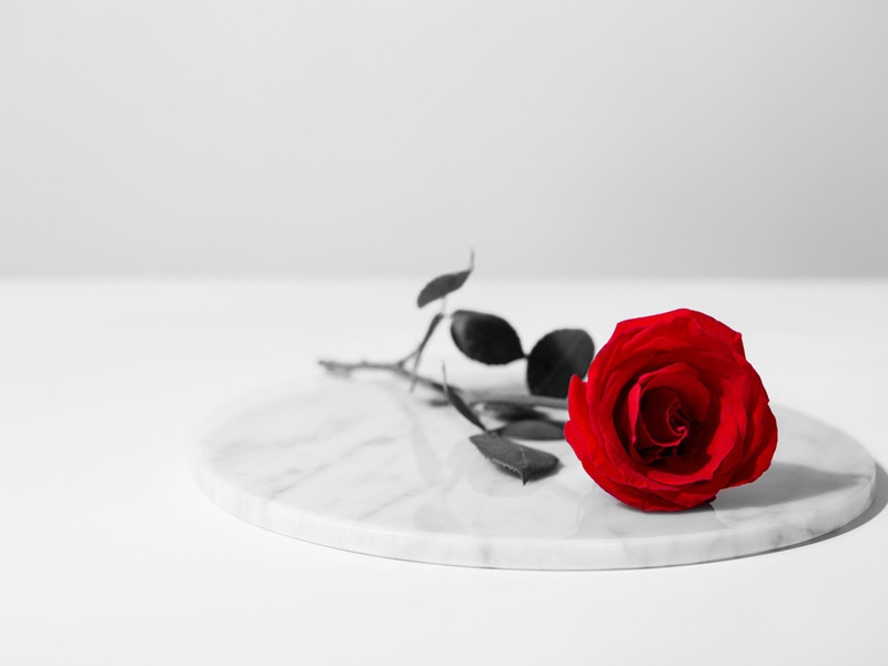 梦李白二首-原文句解题解赏析-杜甫古诗