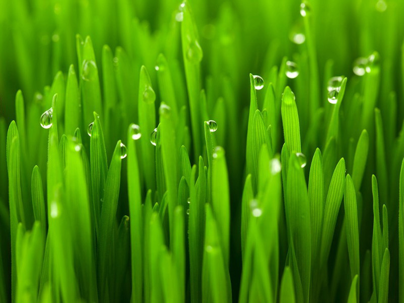 江山留胜迹,我辈复登临出处意思赏析