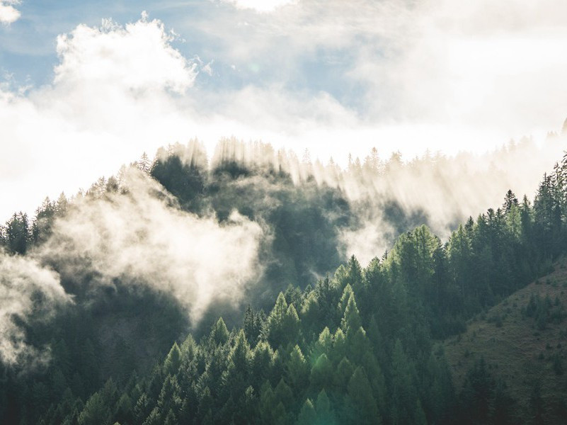 游宦区区成底事,平生况有云泉约的意思出处赏析