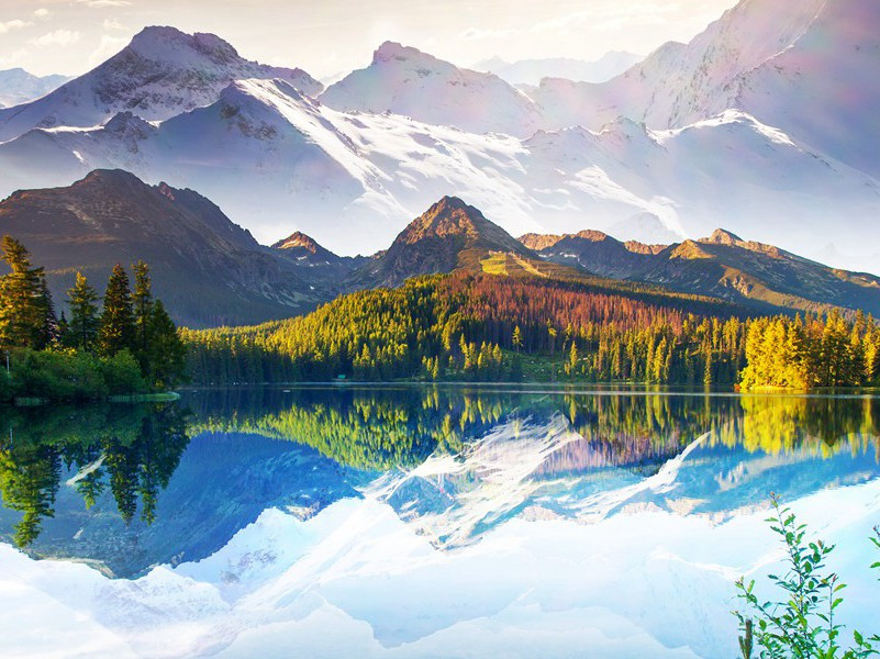 晨起开门雪满山,雪晴云淡日光寒出处翻译赏析