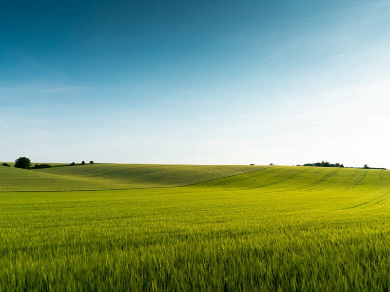 弱质无以托,横尸无以葬出处意思赏析