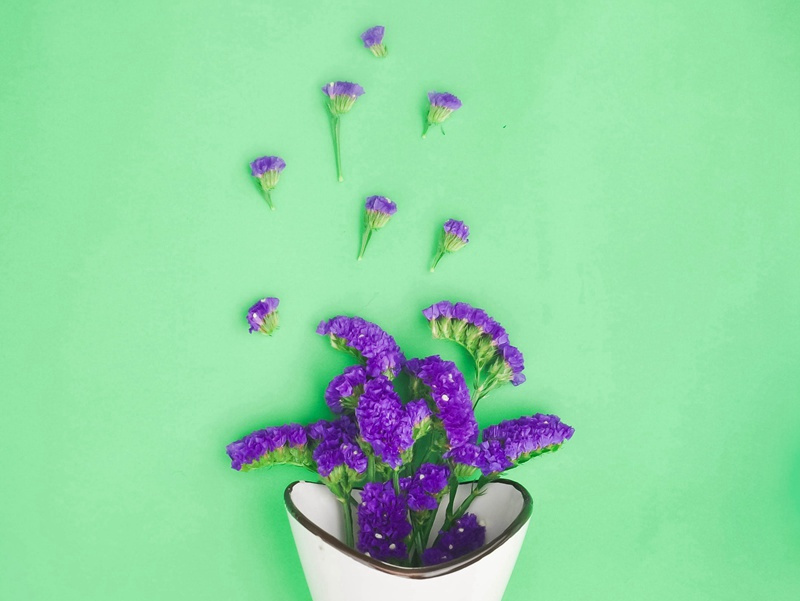 新竹高于旧竹枝,全凭老干为扶持出处翻译赏析