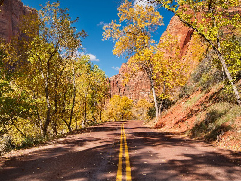 千磨万击还坚劲,任尔东西南北风出处翻译赏析