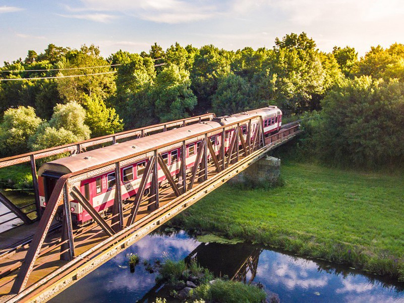 周南留滞古所惜,南极老人应寿昌的出处意思赏析