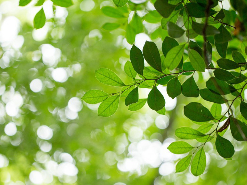 十旬休假,胜友如云;千里逢迎,高朋满座出处意思赏析