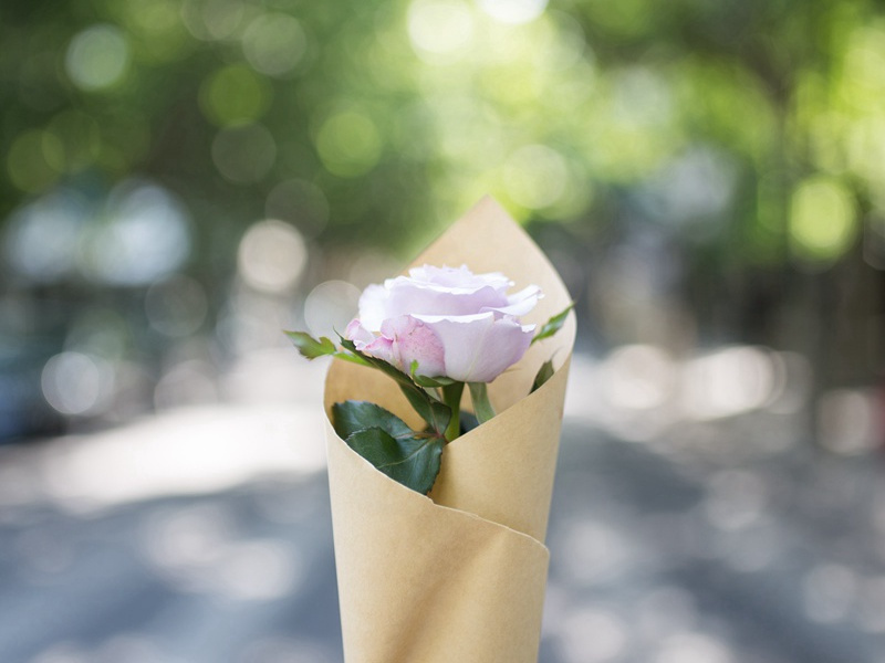 即今漂泊干戈际,屡貌寻常行路人的出处意思赏析