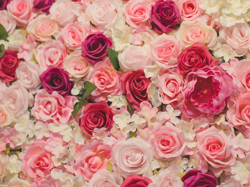 将军画善盖有神,必逢佳士亦写真的出处意思赏析