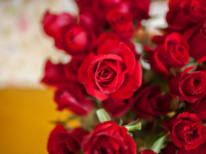 玉花却在御榻上,榻上庭前屹相向的出处意思赏析