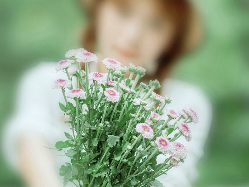 先帝天马玉花骢,画工如山貌不同出处意思赏析