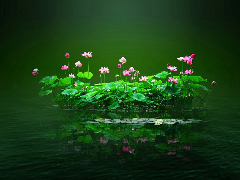 天便教人,霎时厮见何妨出处意思赏析