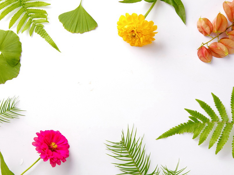 杜工部蜀中离席-原文句解题解赏析-李商隐古诗