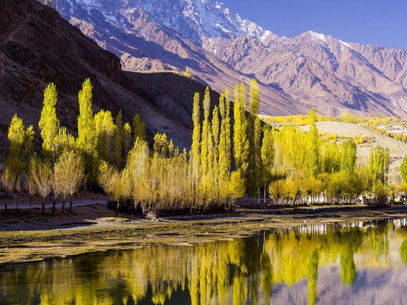 《无题》录二)原文赏析-朱彝尊古诗