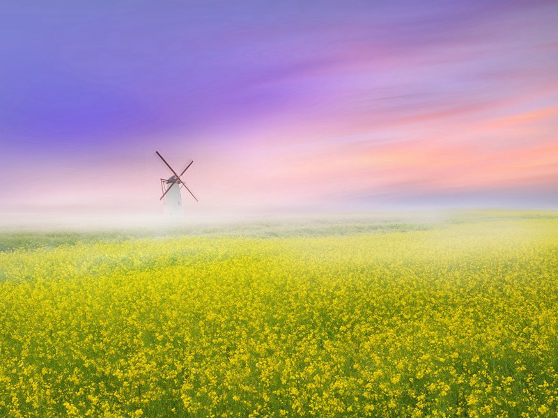 一叫一回肠一断,三春三月忆三巴出处意思赏析